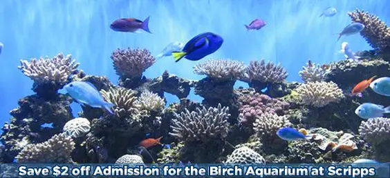 Birch aquarium discount coupons