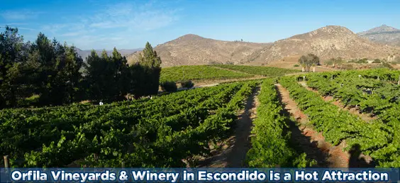 Wineries in San Diego County and Regionally are Worth ...