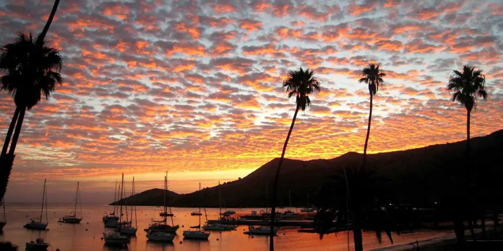 Catalina Island Is A Perfect Weekend Getaway San Diegan