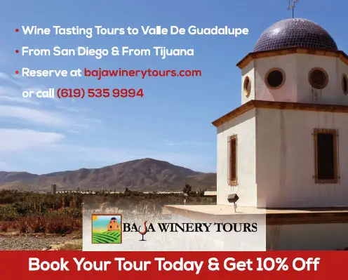 Baja Winery Tours