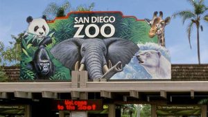 san diego is a fun city zoo.